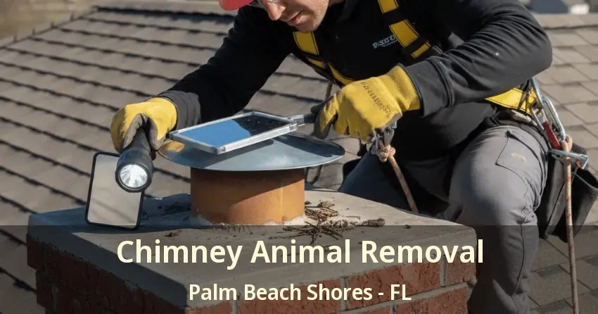 Chimney Animal Removal Palm Beach Shores - FL Chimney Animal Removal Palm Beach Shores - FL
