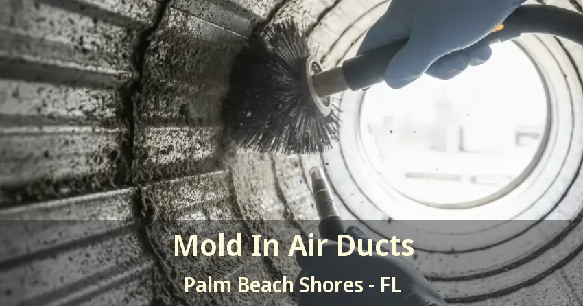 Mold In Air Ducts Palm Beach Shores - FL Mold In Air Ducts Palm Beach Shores - FL