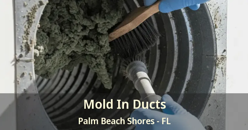 Mold In Ducts Palm Beach Shores - FL Mold In Ducts Palm Beach Shores - FL