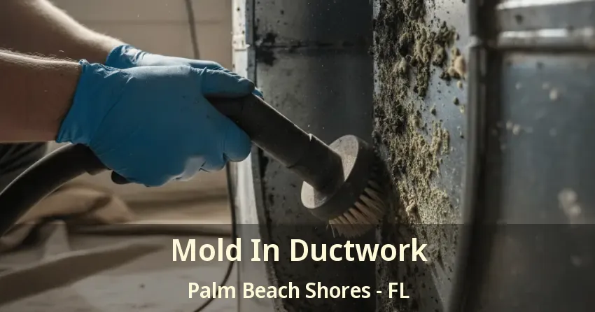 Mold In Ductwork Palm Beach Shores - FL Mold In Ductwork Palm Beach Shores - FL