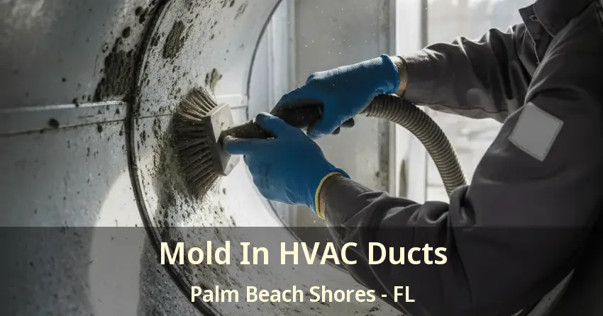 Mold In HVAC Ducts Palm Beach Shores - FL