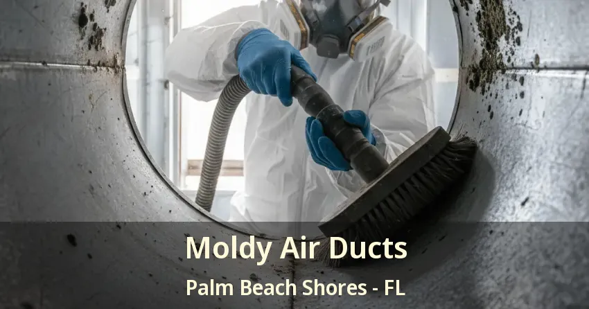 Moldy Air Ducts Palm Beach Shores - FL